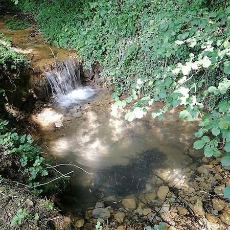 Champagnat Domaine Moulin De Quincenat公寓 外观 照片