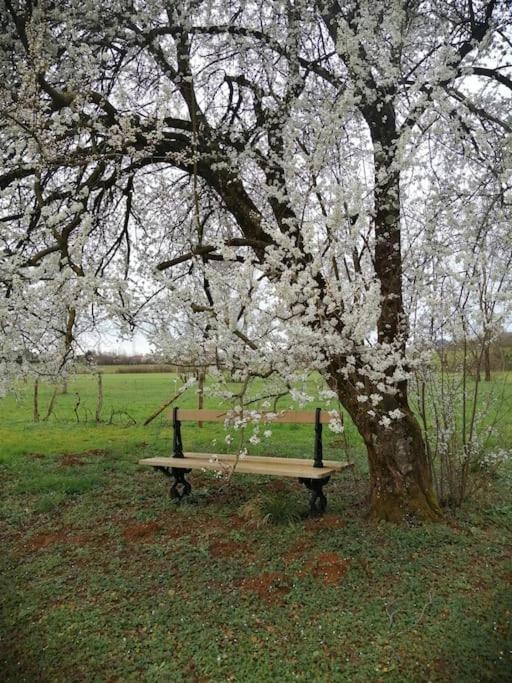 Champagnat Domaine Moulin De Quincenat公寓 外观 照片