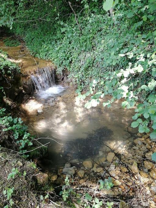 Champagnat Domaine Moulin De Quincenat公寓 外观 照片